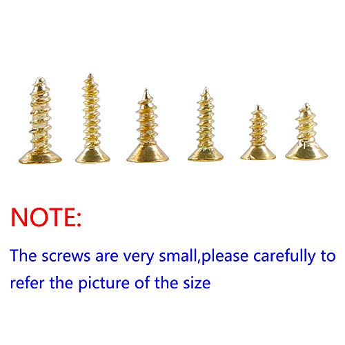 newlng 1200pcs Small Screws Phillips Flat Head Cross Self Tapping Tiny Screw Cabinet Electronic Accessories Screw Multifunctional DIY Micro Woodworking Mini Screw Set Gold - Image 3