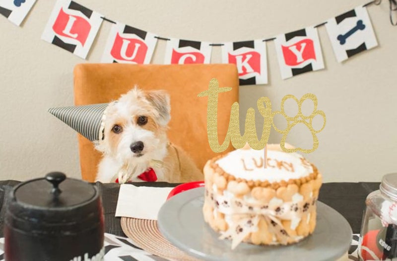 AHAORAY Paw Print Two Cake Topper - Gold Glitter Pet Dog Second Birthday Cake Decorations Supplies - Pet Puppy Theme Party Cake Decor  for Pet Birthday Party  Baby Shower Favors or Photo Booth Props - Image 5