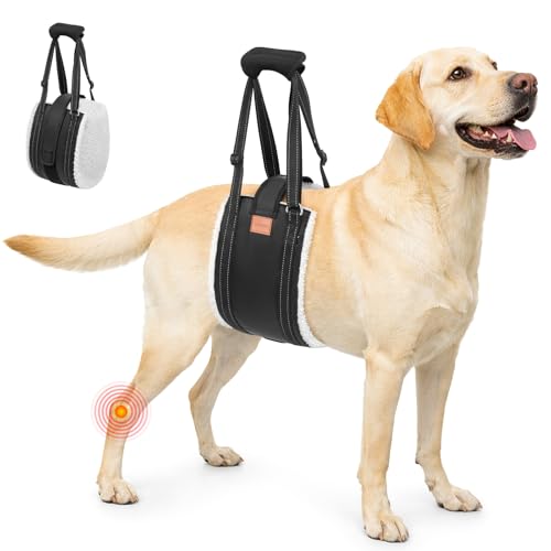 LOOBANI Dog Lift Harness for Back Legs, Portable Dog Sling for Large Dogs Hind Leg Support, Comfortable Leg Support Assistance for Elderly Dogs with Hip, ACL Brace, Senior, Injured - Image 1