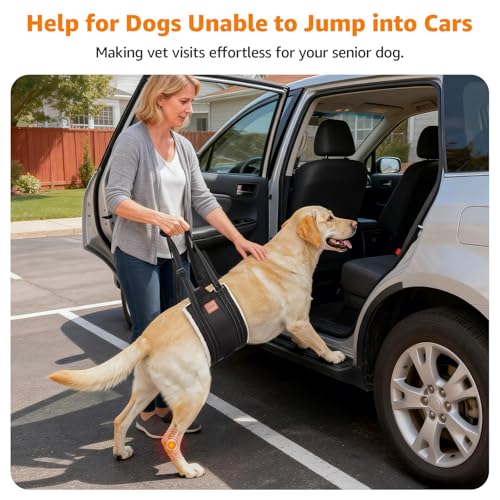 LOOBANI Dog Lift Harness for Back Legs, Portable Dog Sling for Large Dogs Hind Leg Support, Comfortable Leg Support Assistance for Elderly Dogs with Hip, ACL Brace, Senior, Injured - Image 4