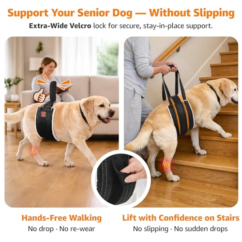 LOOBANI Dog Lift Harness for Back Legs, Portable Dog Sling for Large Dogs Hind Leg Support, Comfortable Leg Support Assistance for Elderly Dogs with Hip, ACL Brace, Senior, Injured - Image 2