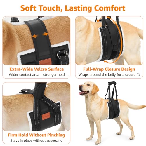 LOOBANI Dog Lift Harness for Back Legs, Portable Dog Sling for Large Dogs Hind Leg Support, Comfortable Leg Support Assistance for Elderly Dogs with Hip, ACL Brace, Senior, Injured - Image 3