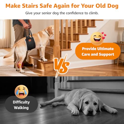 LOOBANI Dog Lift Harness for Back Legs, Portable Dog Sling for Large Dogs Hind Leg Support, Comfortable Leg Support Assistance for Elderly Dogs with Hip, ACL Brace, Senior, Injured - Image 5