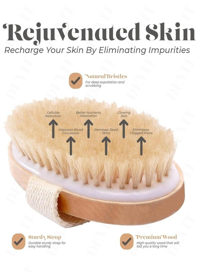 DEVIT™ Oval Dry Body Brush for Exfoliation | Supports Lymphatic Drainage & Reduces Cellulite Appearance | Removes Dead Skin & Helps Prevent Ingrown Hairs | Natural Bristle Wooden Brush | (1 Piece) - Image 2