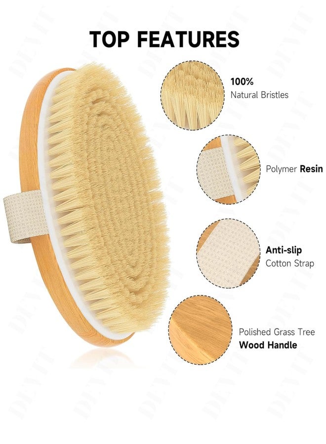 DEVIT™ Oval Dry Body Brush for Exfoliation | Supports Lymphatic Drainage & Reduces Cellulite Appearance | Removes Dead Skin & Helps Prevent Ingrown Hairs | Natural Bristle Wooden Brush | (1 Piece) - Image 4