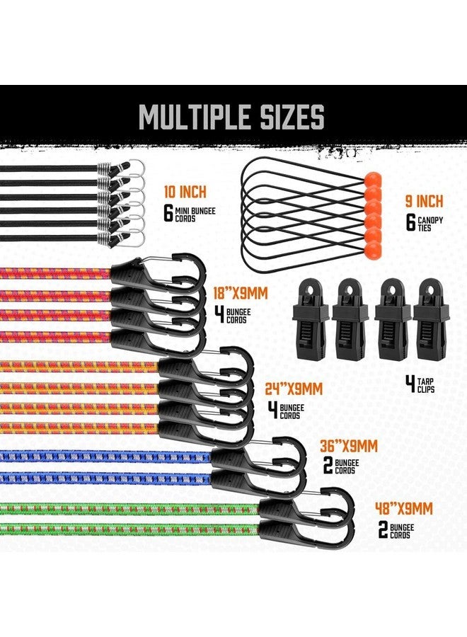 هورسدي حبال بانجي فاخرة من HORUSDY، مكونة من 28 قطعة مع خطافات، تتضمن مجموعة متنوعة من حبال بانجي بمقاسات 10 و18 و24 و36 و48 بوصة (من 10 إلى 48 بوصة) - Image 2