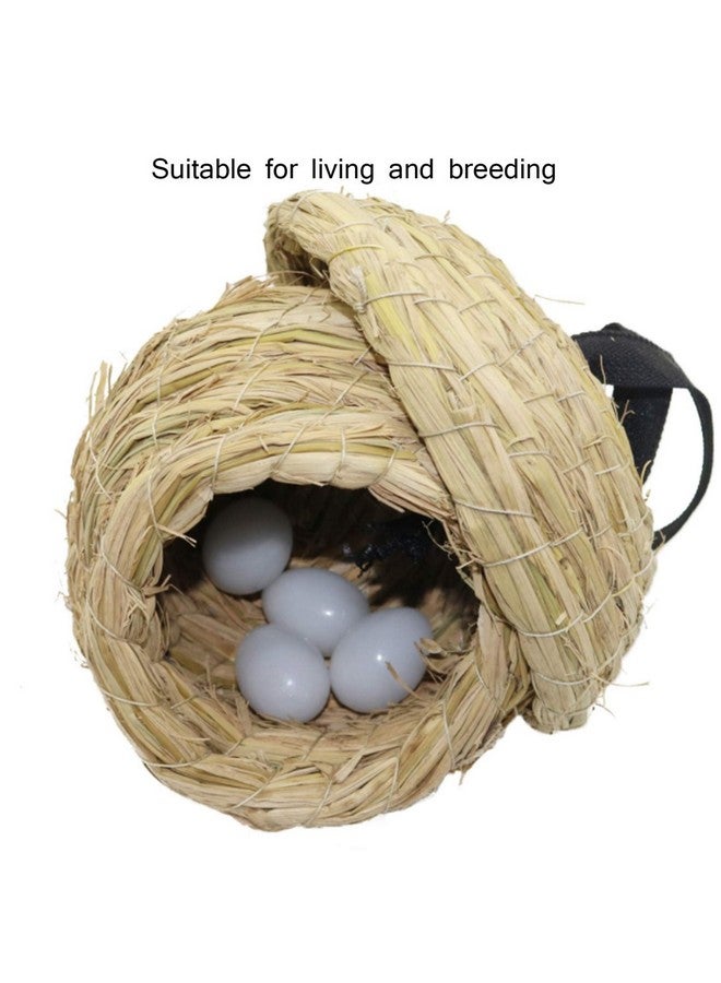 هامليدي عش طيور هاميليدي من القش، بيت طيور من الألياف الطبيعية، كوخ مريح للراحة والتكاثر مع لعبة طيور للببغاوات متوسطة الحجم، ببغاوات الكونيور والكوكاتيل، كبير - Image 4