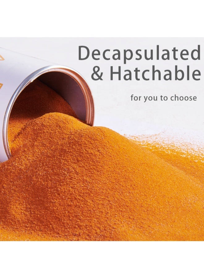 YEE High Quality Decapsulated Artemia Cysts Dry Fish Feed Ingredient Brine Shrimp Eggs for Aquaculture Hatchery – 150ml - Image 3