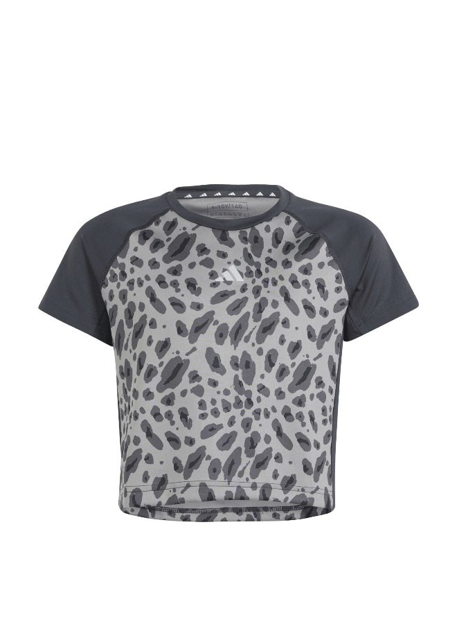 Adidas - adidas Jg Aop Tee Grey Training T-Shirts 5-6Y - Image 1