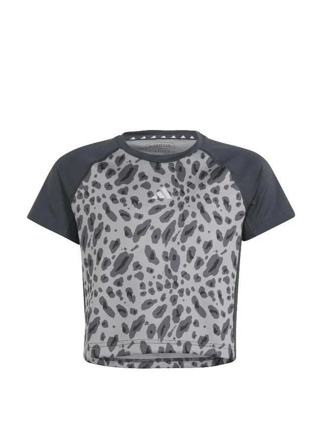 Adidas adidas Jg Aop Tee Grey Training T-Shirts 5-6Y