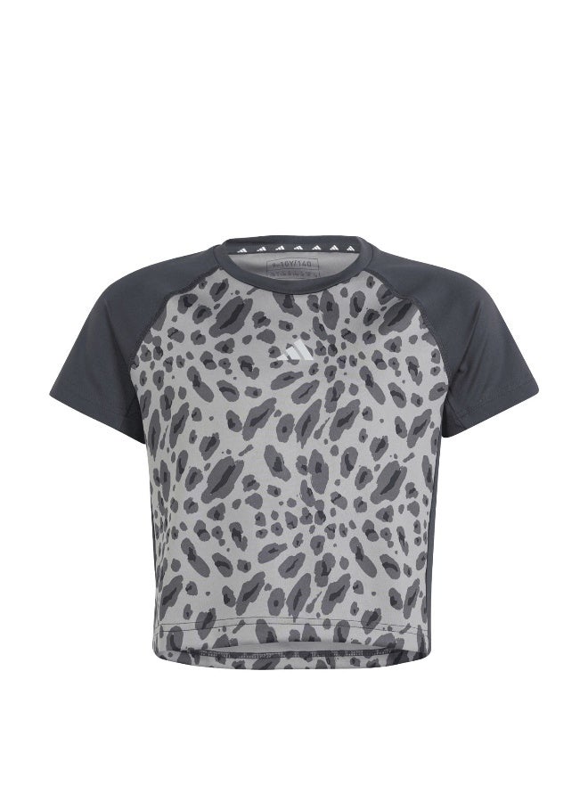 Adidas Jg Aop Tee Grey Training T-Shirts 5-6Y - Image 1