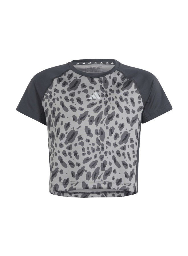 Adidas Jg Aop Tee Grey Training T-Shirts 5-6Y - Image 2