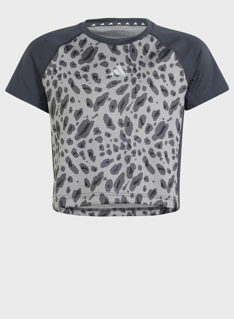 Adidas Jg Aop Tee Grey Training T-Shirts 5-6Y