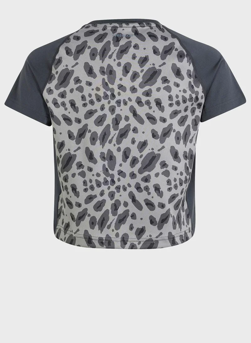 Adidas Jg Aop Tee Grey Training T-Shirts 5-6Y