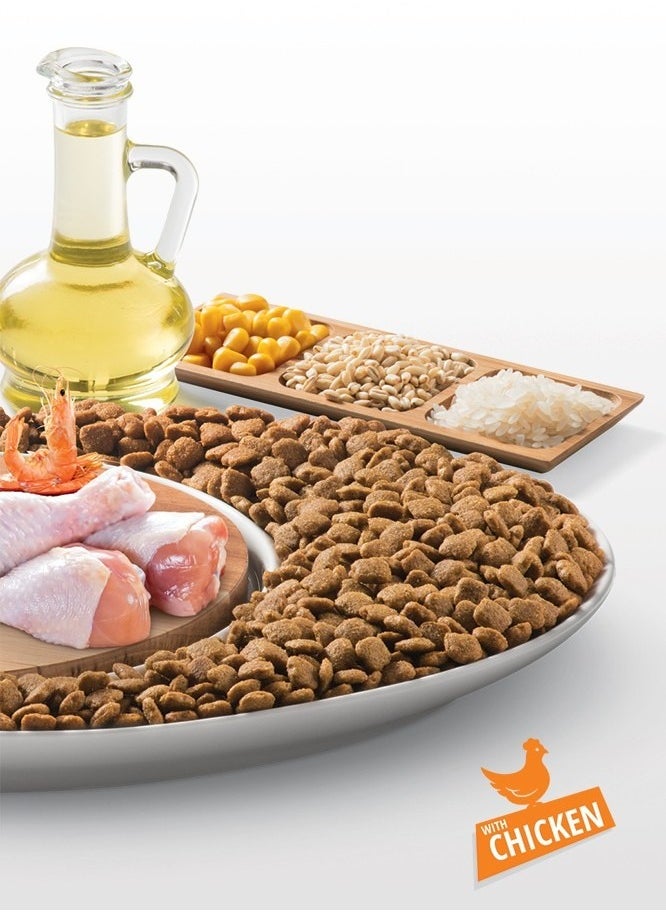 Mito Cat Adult Dry Food - Chicken Flavor - 1KG  - Image 2