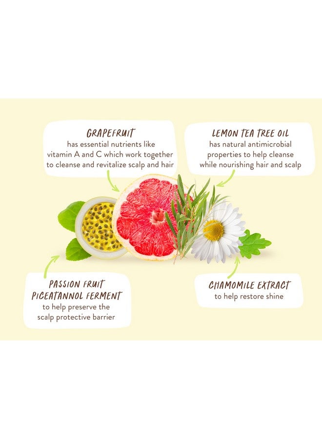 بابو بوتانيكالز شامبو منقي لشجرة الشاي والليمون والجريب فروت للشعر الدهني المسطح والمعرض، أضف الجسم واللمعان، خميرة فاكهة العاطفة لفروة الرأس، كرتون مقاوم للماء مع 80% بلاستيك أقل، نباتي نباتي - Image 5