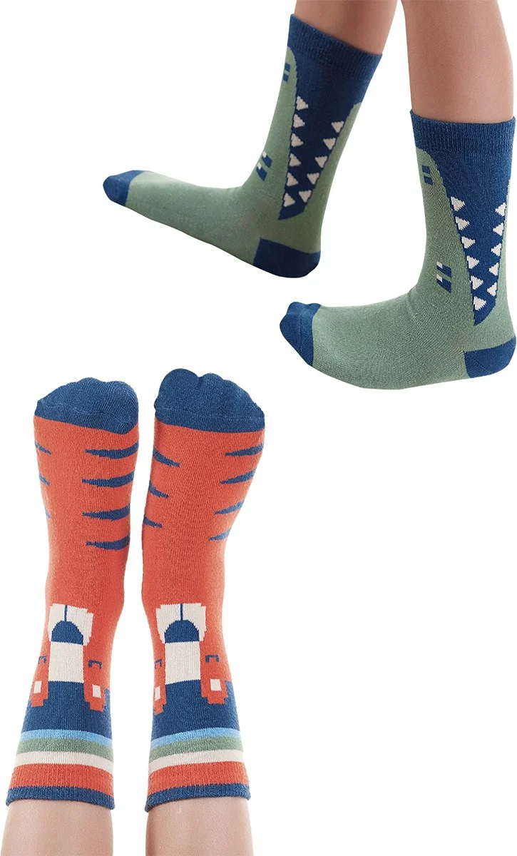 Denokids Animals Boys 2-Pack Socks