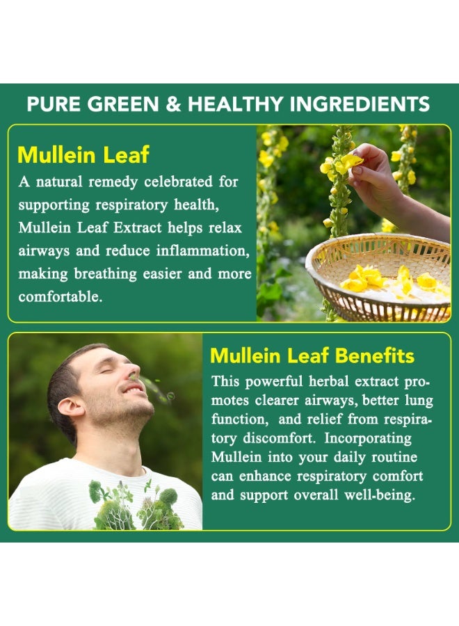 Acentiallabs 60 Count Mullein Gummies for Lung Cleanse, 2000mg Organic Mullein Leaf Extract for Lung Cleanse and Respiratory Support, Natural Mullein Herbal Supplement, Pear Flavor Gummies - Image 5