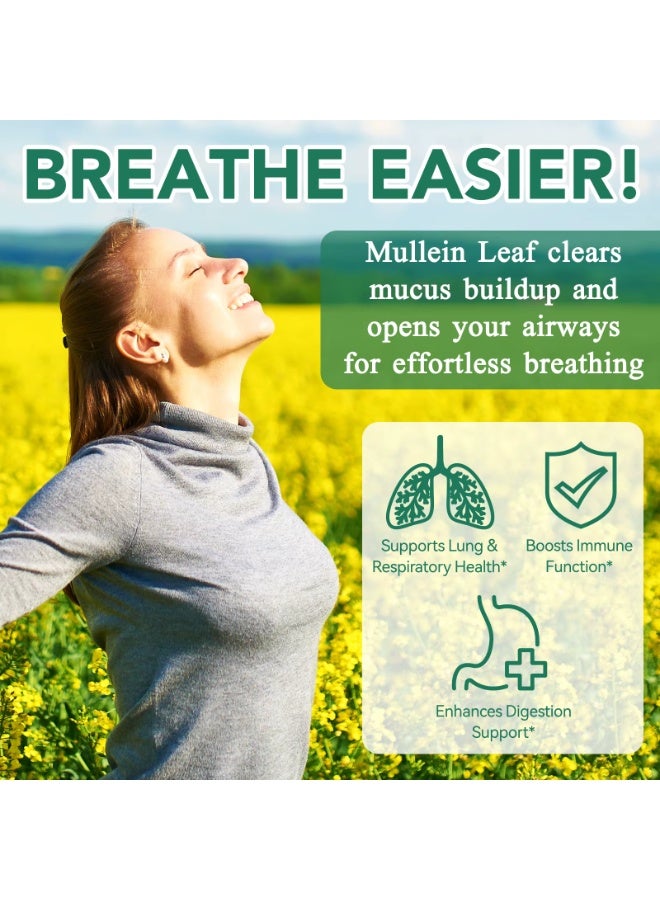 Acentiallabs 60 Count Mullein Gummies for Lung Cleanse, 2000mg Organic Mullein Leaf Extract for Lung Cleanse and Respiratory Support, Natural Mullein Herbal Supplement, Pear Flavor Gummies - Image 3