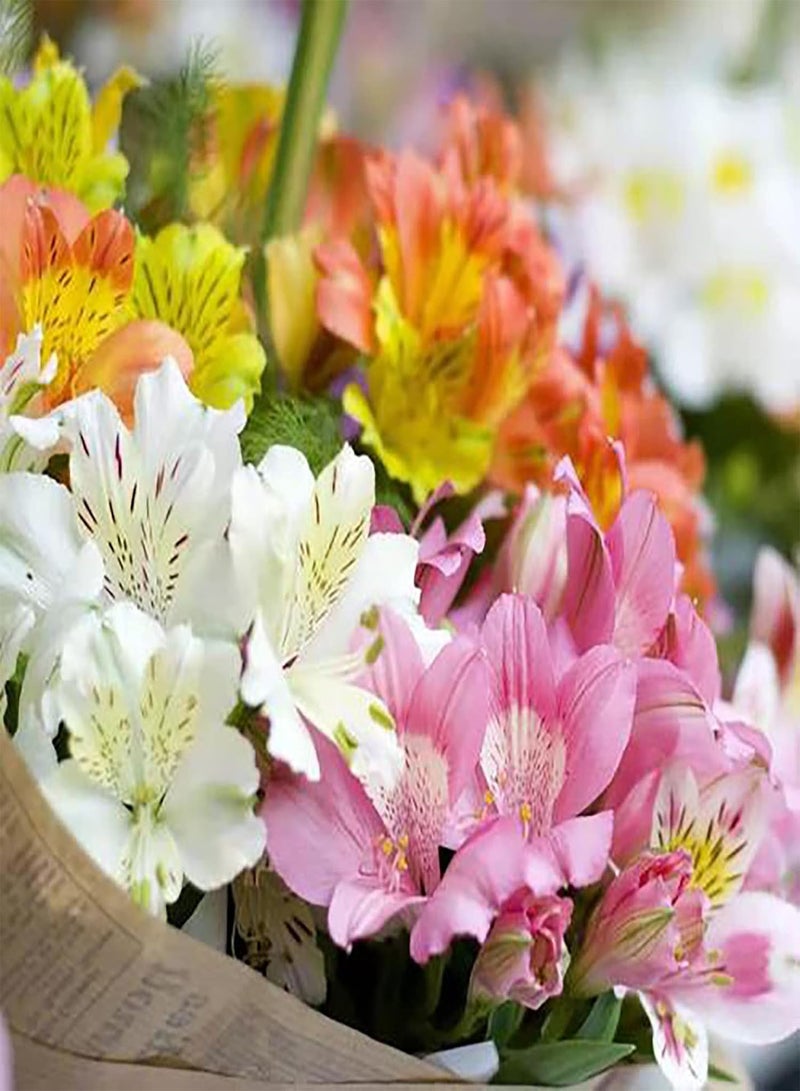 جي جوت بذور زهور ملونة مختلطة، 100 قطعة/كيس، بذور نباتات طبيعية للتخزين طويل الأمد، بذور زهور ملونة مختلطة خفيفة الوزن للزراعة، مزيج الألوان - Image 2