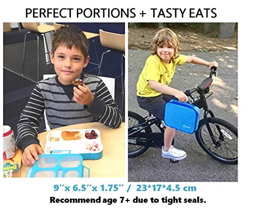 Kinsho Bento-Box insulated Lunch Bag and Ice Pack Set. Lunch Boxes Snack Containers Kids Boys Girls Adults. 6 Compartments, Leakproof Portion Boxes Insulated Bags for School Lunches, BPA Free (Blue + Navy) - Image 5