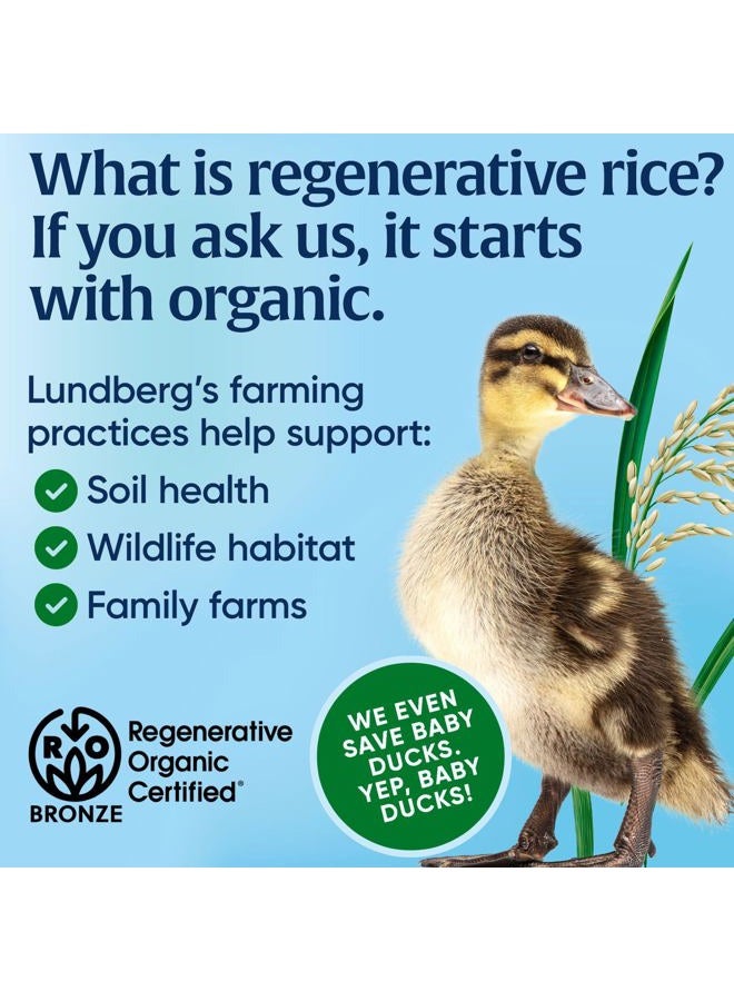 Lundberg Organic Thin Stackers Red Rice & Quinoa 5.9 Oz. 151222 - Image 3