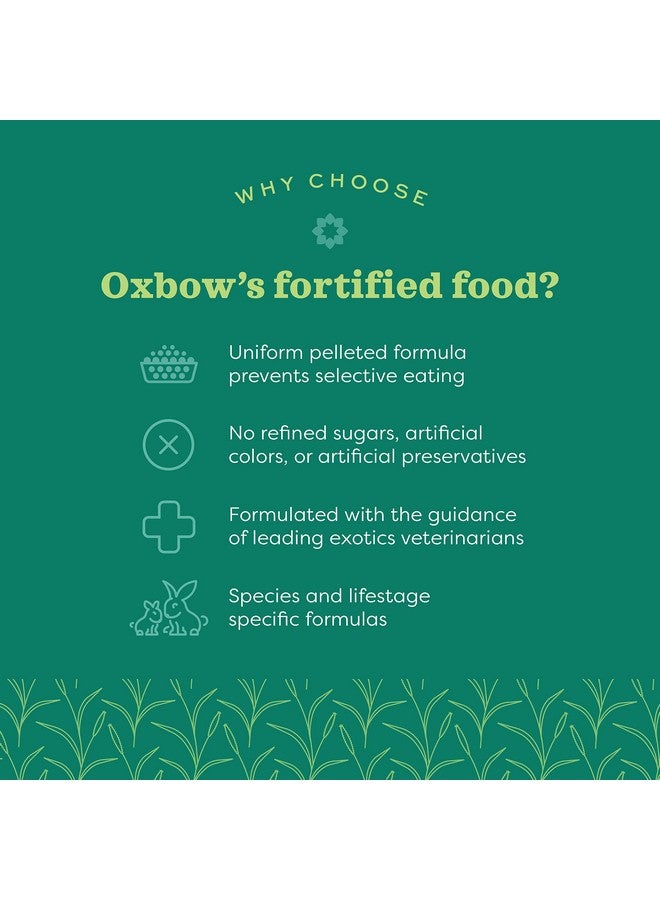 أوكسبو طعام الأرانب المسنة من أوكسبو أنيمال هيلث إسينشالز - 8 أرطال - Image 5