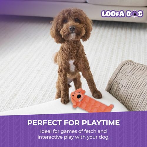 Multipet Original Loofa Dog Plush Toy Mat - Squeaky Toys for All Dogs - Extra Soft Plush - Stuffed Animal Dog Toys for Playing (1 Count, 12”, Random Color Surprise) - Image 5