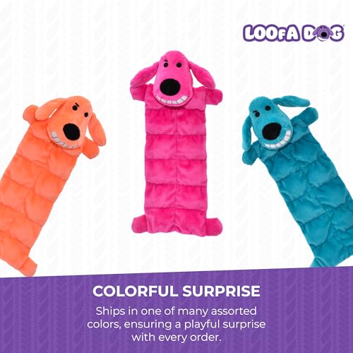 Multipet Original Loofa Dog Plush Toy Mat - Squeaky Toys for All Dogs - Extra Soft Plush - Stuffed Animal Dog Toys for Playing (1 Count, 12”, Random Color Surprise) - Image 4