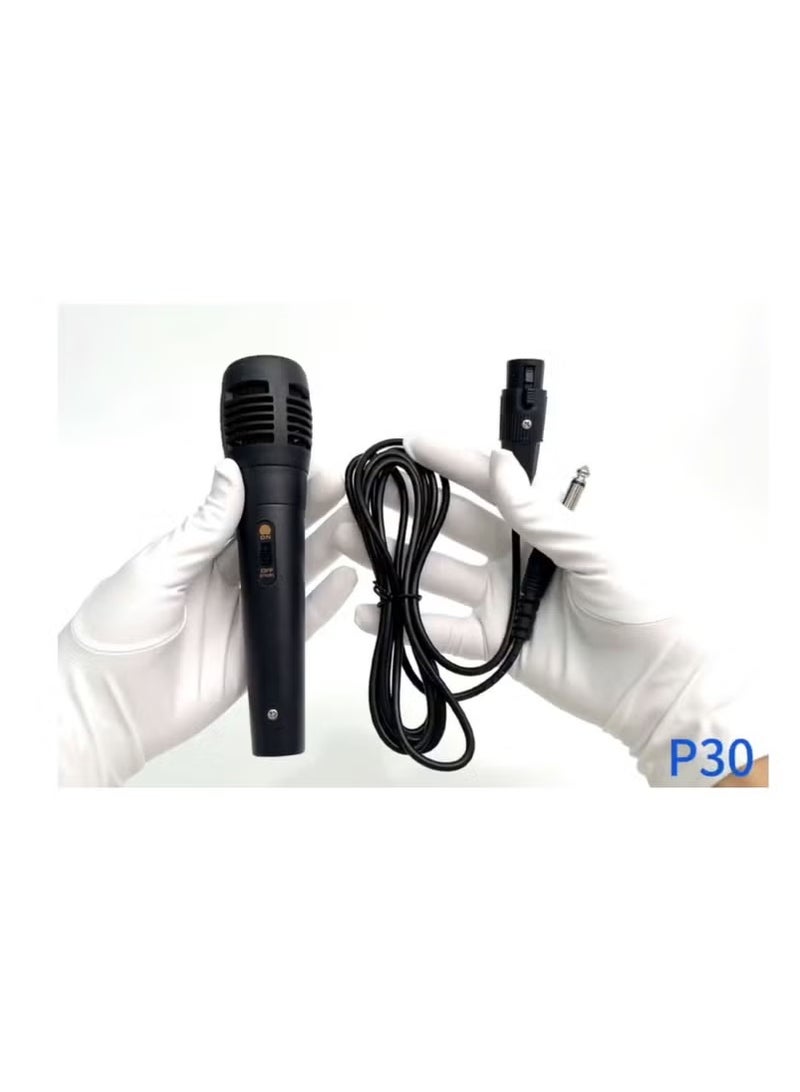 هينو تيكو مكبر صوت لاسلكي Haino Teko P30 مزود بميكروفون وأضواء RGB ومدة تشغيل تصل إلى 5 ساعات، مثالي للاستخدام الداخلي والخارجي، باللون الأسود - Image 2