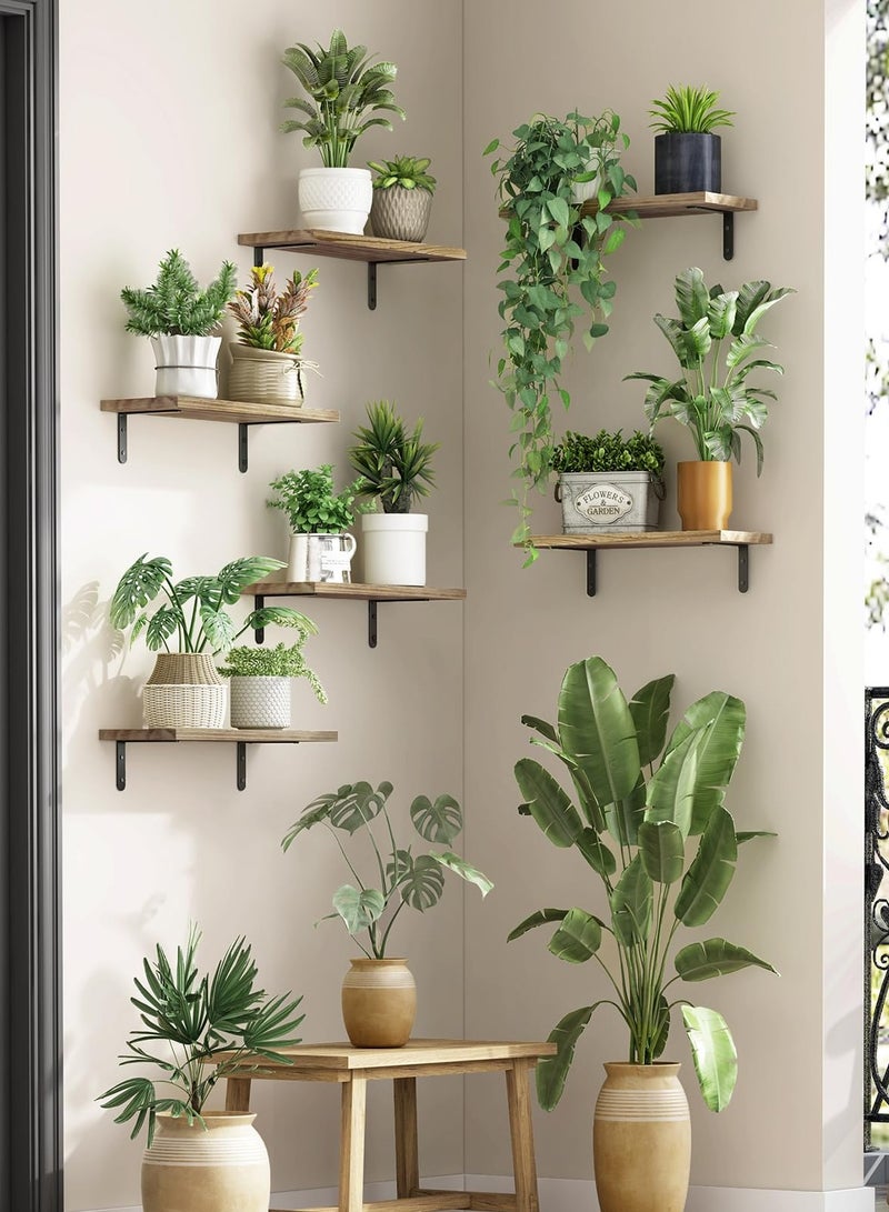 شو وو أرفف خشبية عائمة لتزيين الحائط، مجموعة أرفف حائط مكونة من 6 قطع، رف عائم مثبت على الحائط لتزيين غرفة النوم، تخزين الحمام، رف إطاري للحائط - Image 5