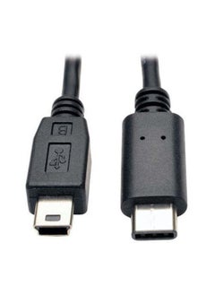 Apogee 2 Meter USB-C Cable for Apogee One (2013), One for Mac (2016), Duet (2013), and Quartet (2013) 