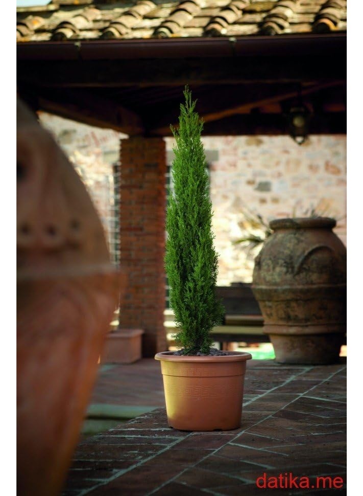 IDEL Indoor Flower Pot Idel Etrusco – Modern Plastic Planter for Home & Office Decor – Lightweight & Durable – Available in 15L, 7.5L, and 4L Sizes - Made in Italy - by Idel - Image 2