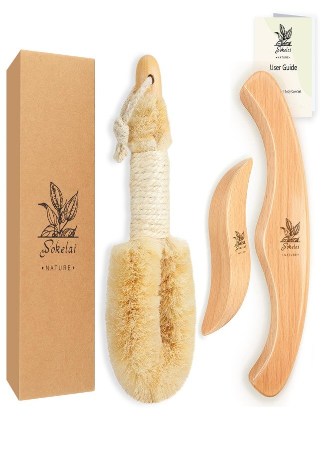 wokelai Dry Body Brush Set for Lymphatic Drainage, Natural Sisal Bristle Dry Brushing Body Brush, Wood Therapy Kit with Wooden Acupressure Massage Tools for Face and Body Gua Sha - Image 1