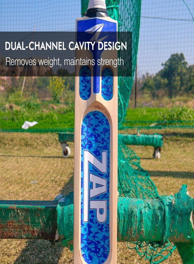 زاب مضرب تنس كريكيت ZAP Bouncer Kashmir Willow Scoop (35 بوصة، حجم كامل SH) | تصميم بخمسة تجاويف | خفيف الوزن ومتوازن جيدًا | مثالي لكرات التنس اللينة والصلبة | مضرب تنس جاهز للبطولات - Image 3