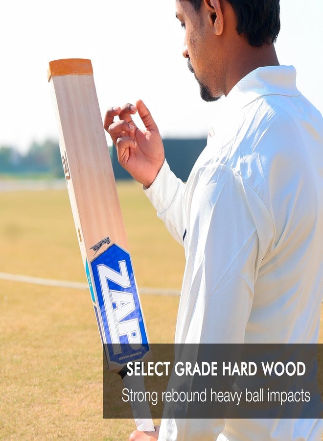 زاب مضرب تنس كريكيت ZAP Bouncer Kashmir Willow Scoop (35 بوصة، حجم كامل SH) | تصميم بخمسة تجاويف | خفيف الوزن ومتوازن جيدًا | مثالي لكرات التنس اللينة والصلبة | مضرب تنس جاهز للبطولات - Image 2