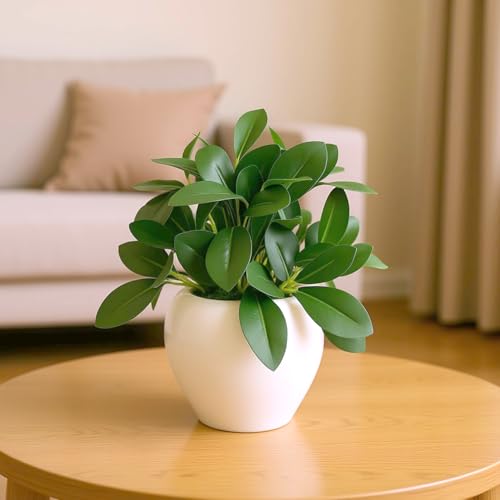 BonKaso 4 Inch White Apple Shape Flower Pot for Home Decor (Pack of 6) | Unbreakable Plastic Planter with Ceramic Look Finish for Living Room, Bedroom, Office & Balcony (11 x 11 x 9.5) - Image 1