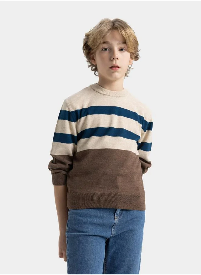 ديفاكتو Regular Fit Crew Neck Striped Knit Sweater by Styli