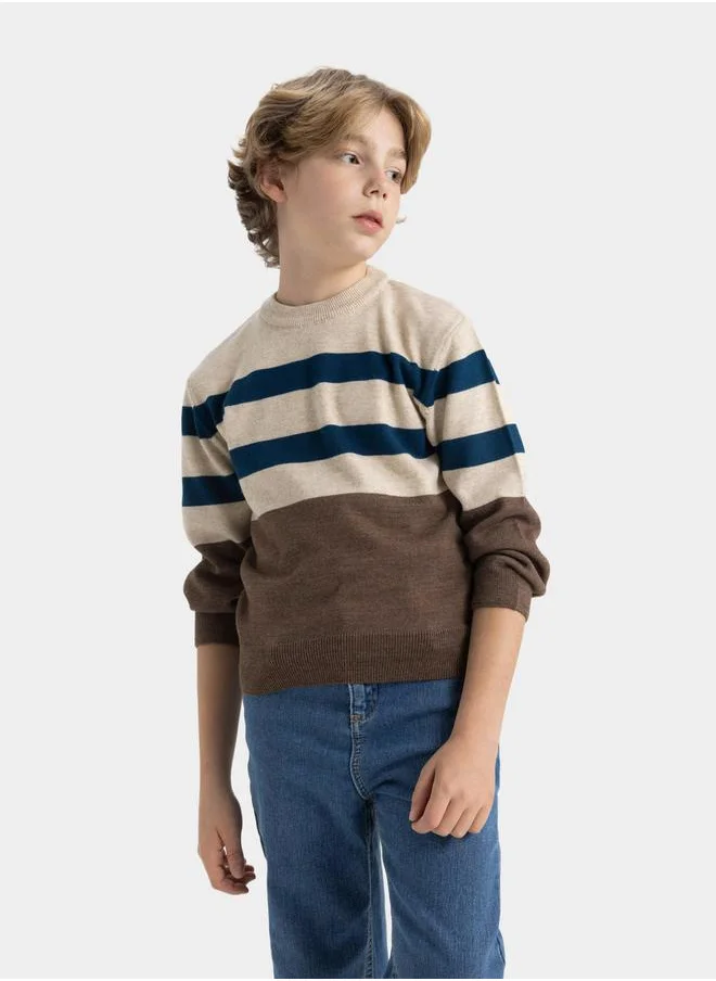 ديفاكتو Regular Fit Crew Neck Striped Knit Sweater by Styli