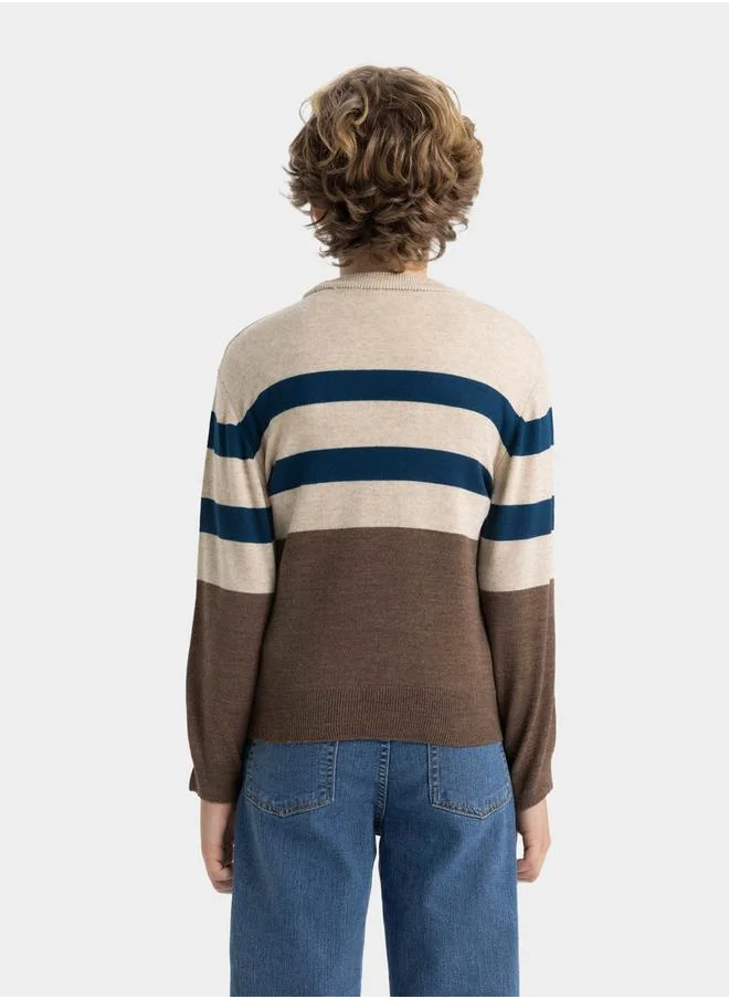 ديفاكتو Regular Fit Crew Neck Striped Knit Sweater by Styli