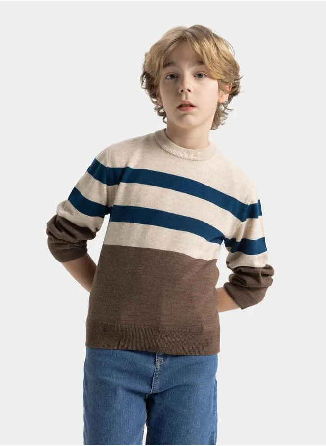 ديفاكتو Regular Fit Crew Neck Striped Knit Sweater by Styli