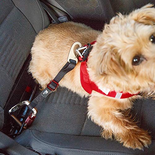 Curli Car Safety Belt 30cm - Image 2