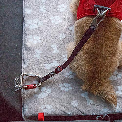 Curli Car Safety Belt 30cm - Image 4