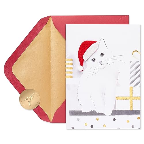 Papyrus Cat Christmas Cards Boxed with Envelopes Merry Christmas and a Happy New Year Santa Hat Kitty 8Count - Image 1
