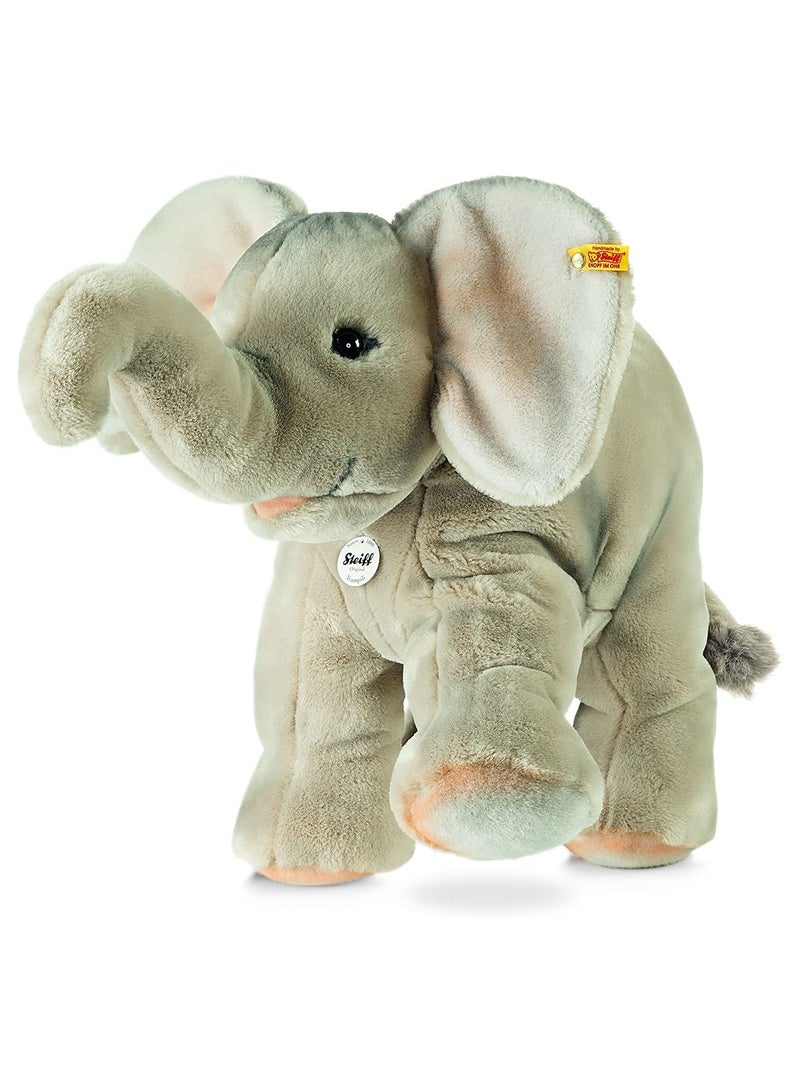 ستيف ترامبيلي الفيل