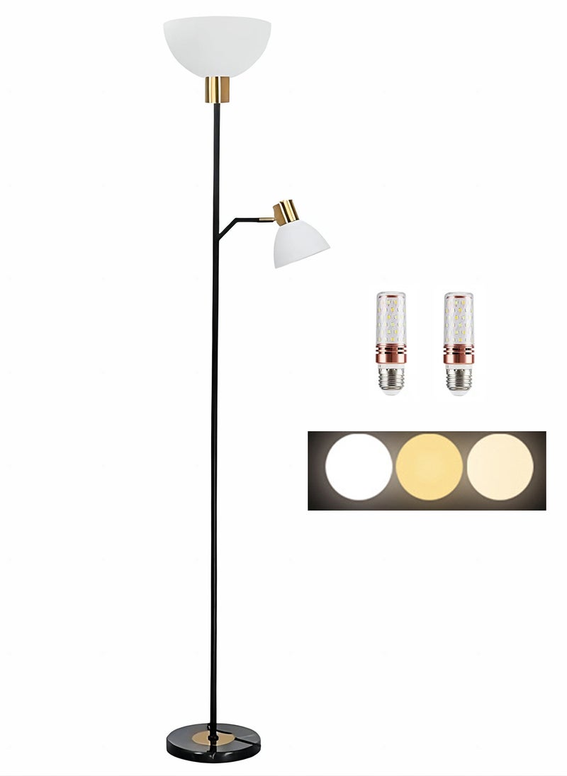 مصباح أرضي بمصدر ضوء عمودي حديث لغرفة المعيشة لحماية العين مع مفتاح للقدم، قاعدة رخامية لغرفة النوم والدراسة بجوار السرير - 12 وات أسود 22x25x165 سنتيمتر - pzsku/Z68919727B44A639613D1Z/45/_/1705550501/4b00c5de-9335-4b93-89ec-9d955bd78a7c