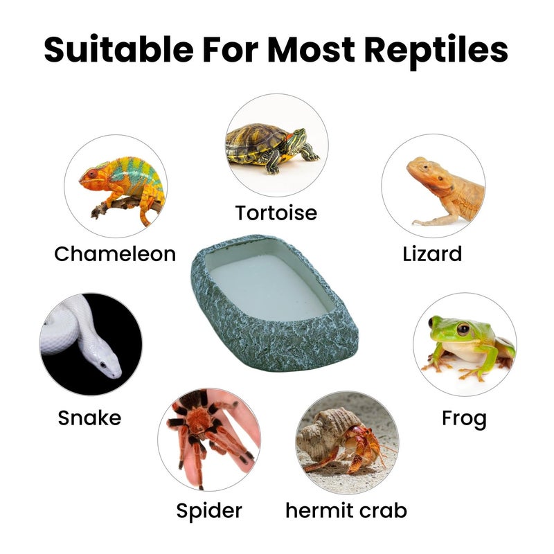 Oikrw Reptile Feeding Dish, Water Dish and Food Bowl, Resin Rock Reptile Feeding Terrarium Corner Bowls for Bearded Dragon Lizard Frog Gecko Tortoise Hermit Crab Snail - Image 5