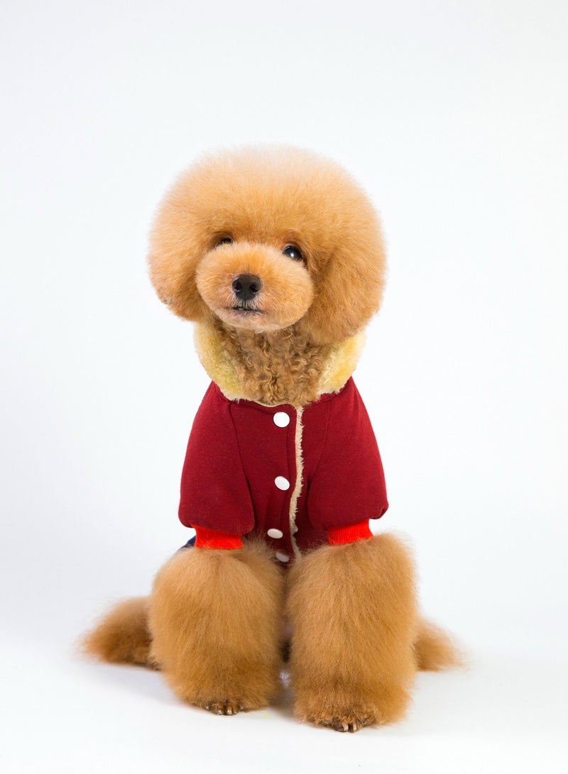 Loquat Pet clothes with thick coats Multicolour - Image 1