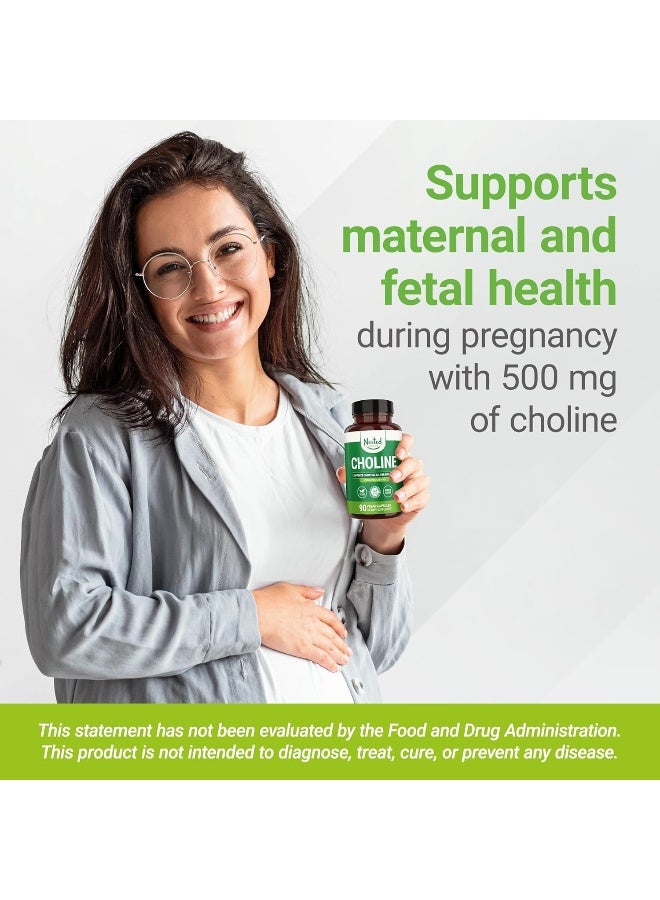 Nested Naturals Choline Bitartrate 500mg Vegan & Non-GMO Prenatal Supplement - Image 3