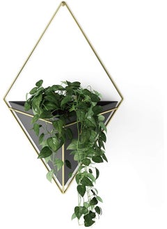 Trigg Hanging Planter Large 470752 1137 Black Brass - pzsku/Z68995EEF3214C71DF587Z/45/_/1722927797/1d69ce57-129f-4597-ba87-0fe1adc62b88